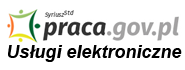 usługi elektroniczna